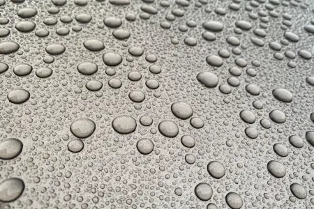 🛡 Younik Defense+™